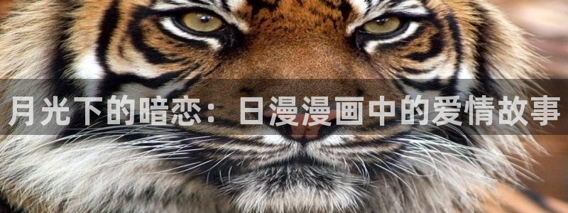 汗汗漫画在线阅读无限金币：月光下的暗恋：日漫漫画中的爱情故事