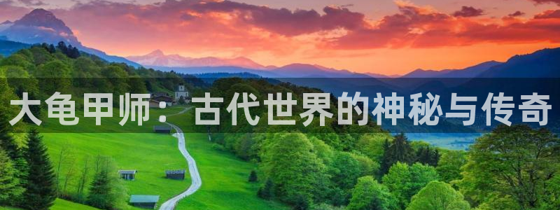 汗汗漫画动漫首页：大龟甲师：古代世界的神秘与传奇